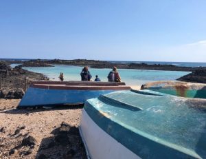 Explora la Isla de Lobos
