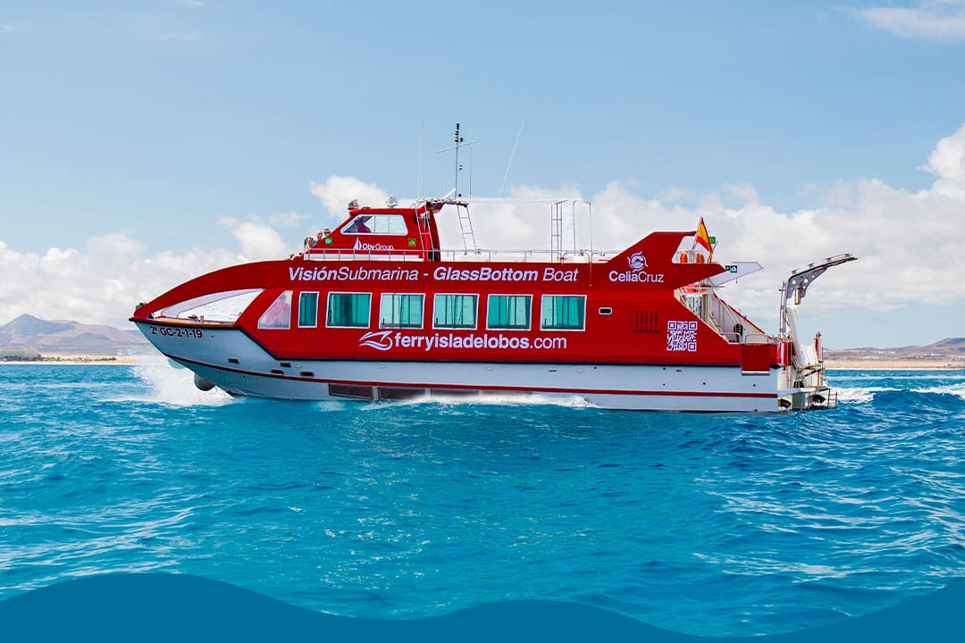 Mini Crucero y Snorkel en Lobos