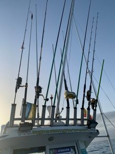 Pesca Deportiva Fuerteventura
